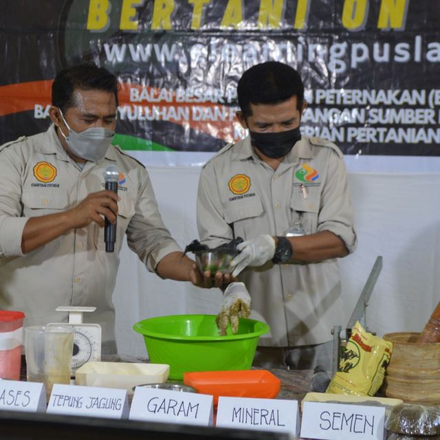 Pengajaran