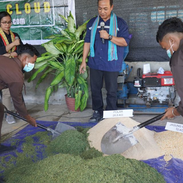 Pembuatan Pakan Ayam KUB